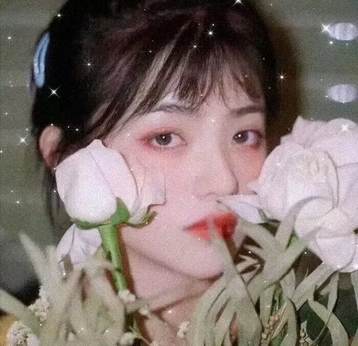 阿七遨游记